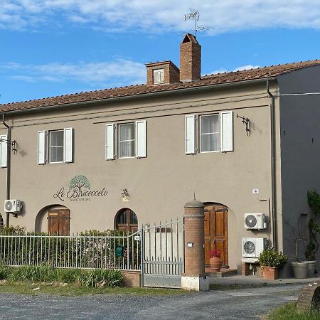 Agriturismo Le Biricoccole Vada Exteriér fotografie