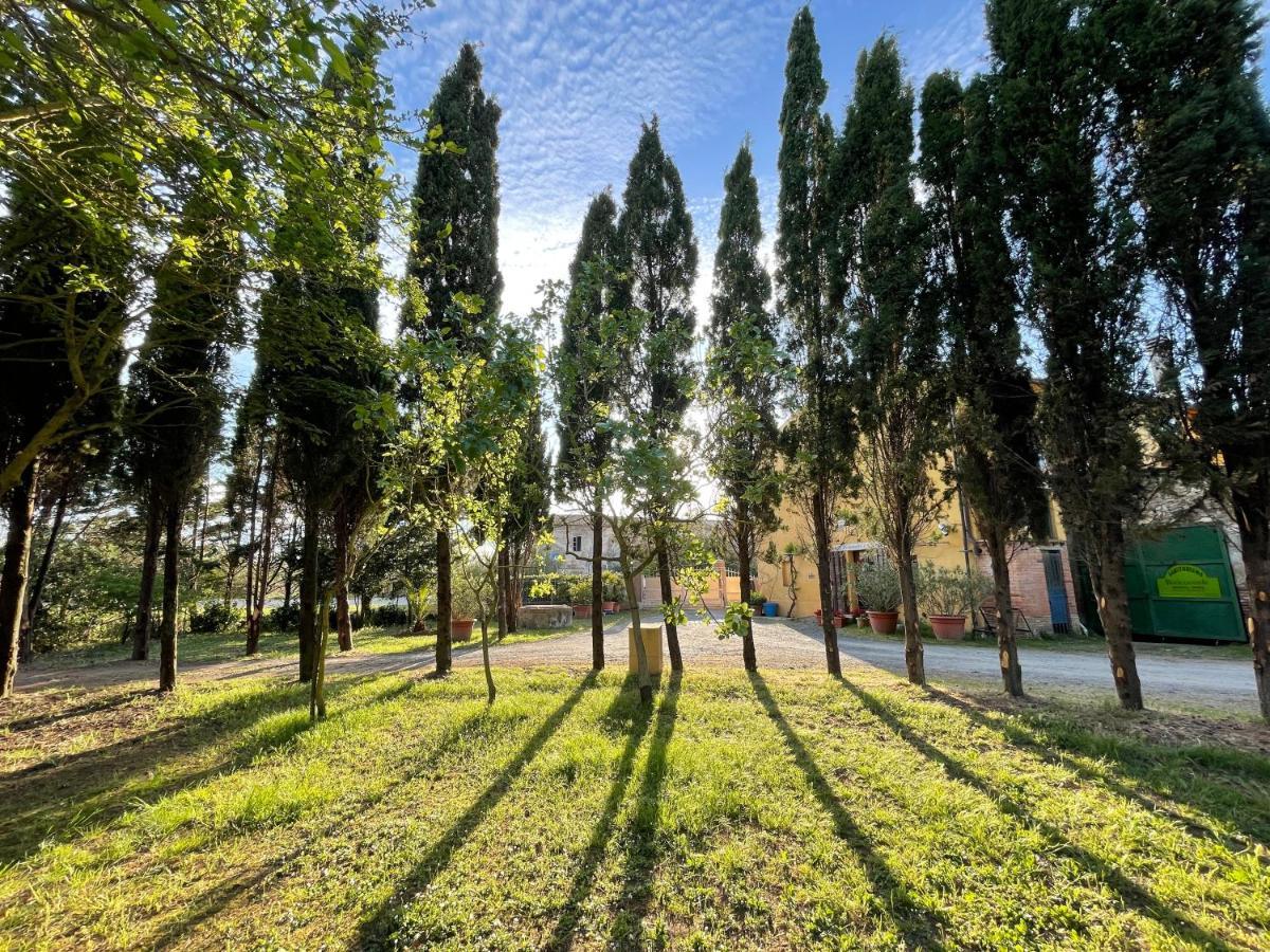 Agriturismo Le Biricoccole Vada Exteriér fotografie