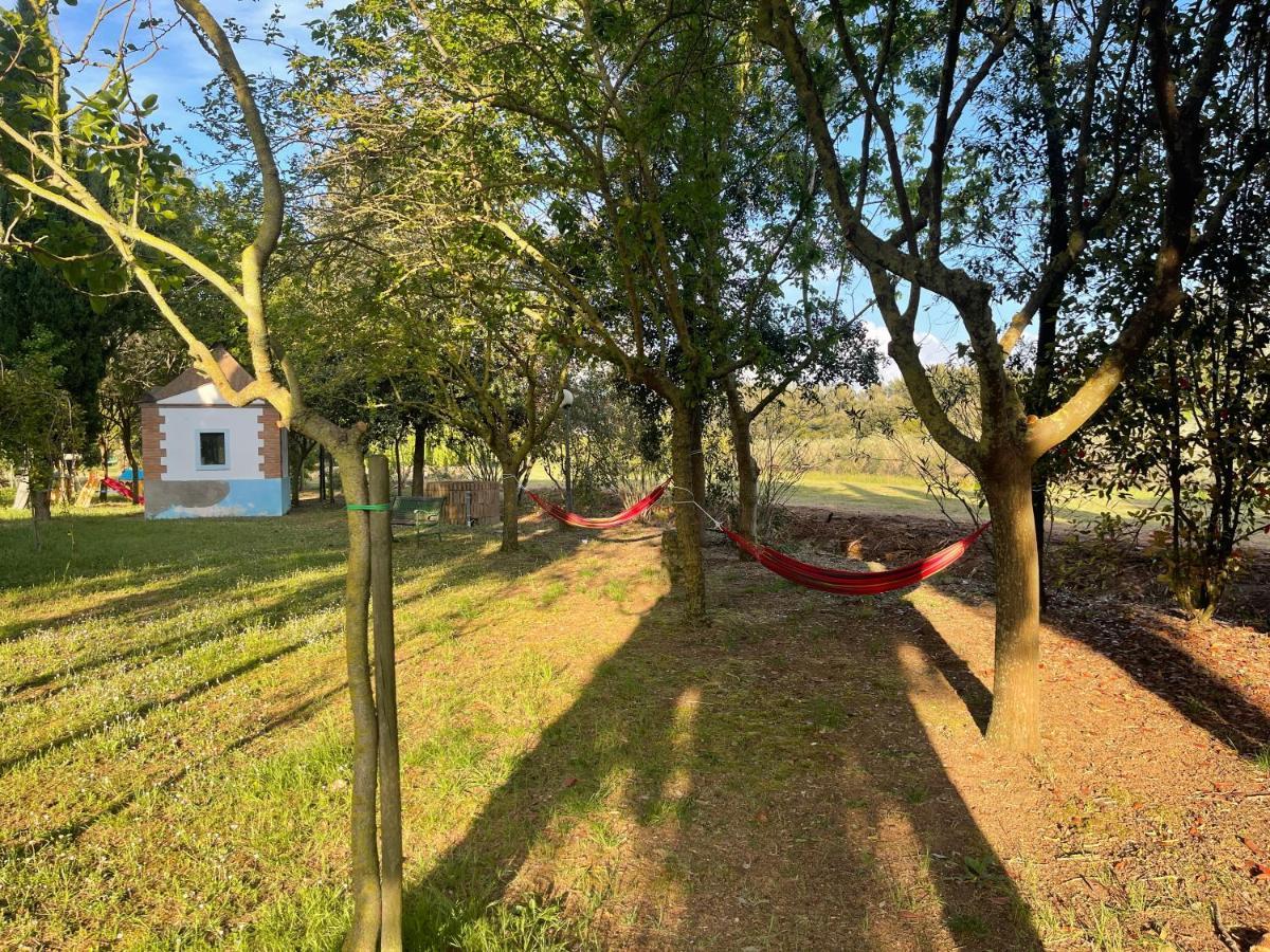 Agriturismo Le Biricoccole Vada Exteriér fotografie