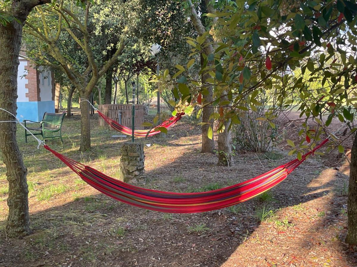 Agriturismo Le Biricoccole Vada Exteriér fotografie