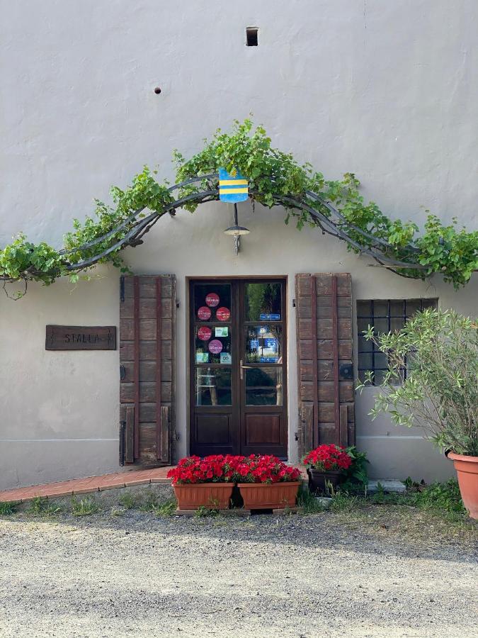 Agriturismo Le Biricoccole Vada Exteriér fotografie