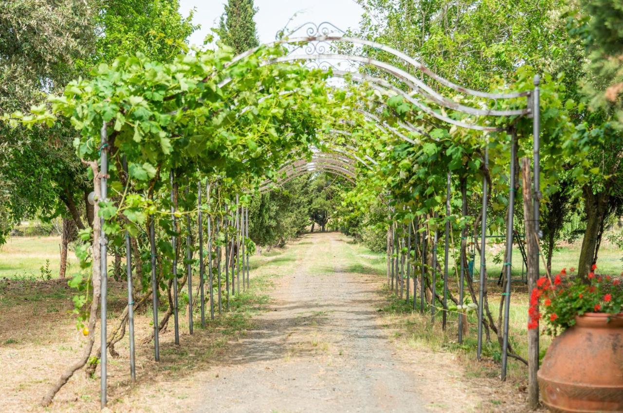 Agriturismo Le Biricoccole Vada Exteriér fotografie