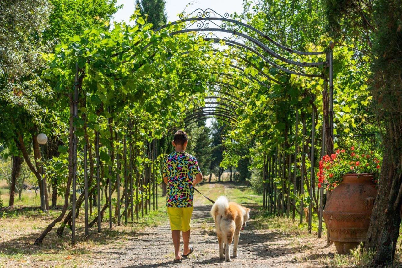 Agriturismo Le Biricoccole Vada Exteriér fotografie