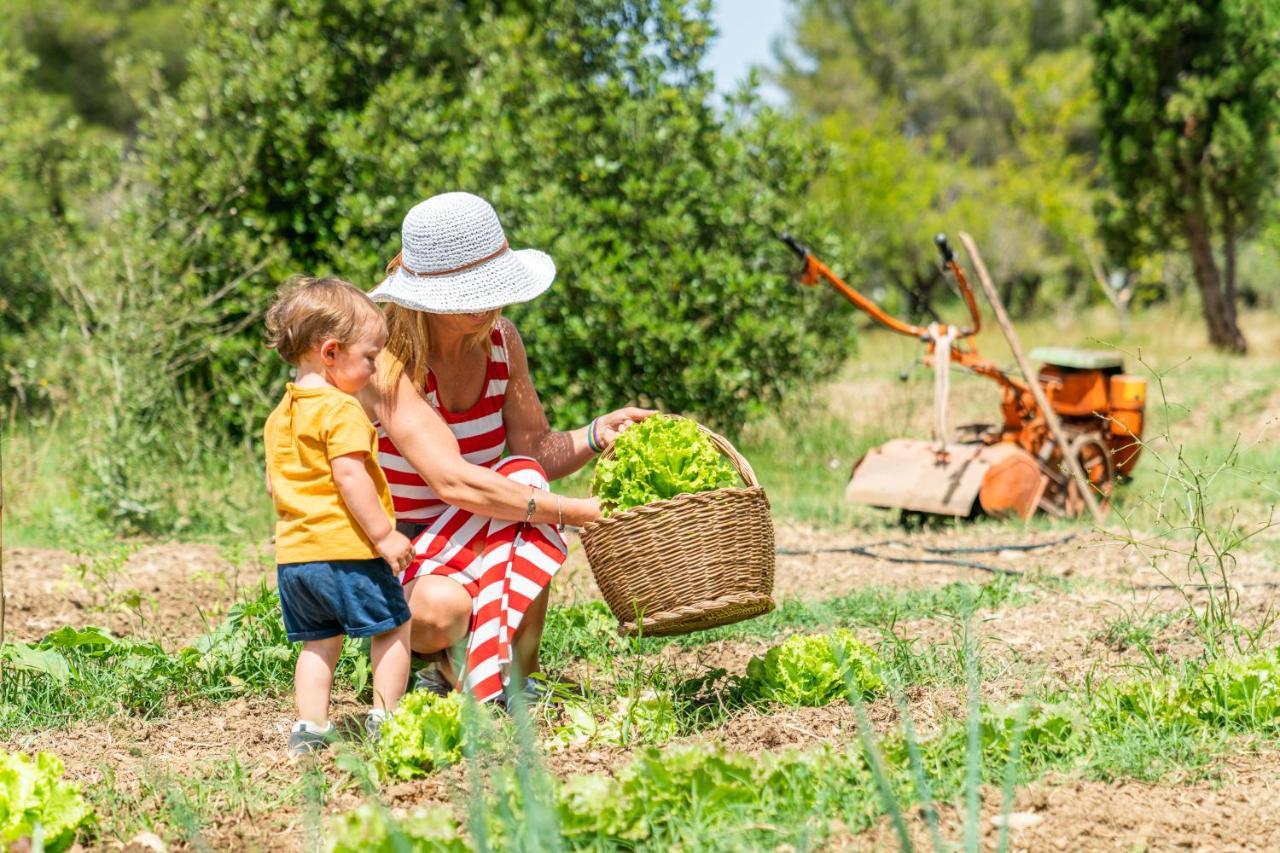Agriturismo Le Biricoccole Vada Exteriér fotografie